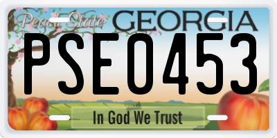 GA license plate PSE0453