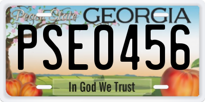 GA license plate PSE0456