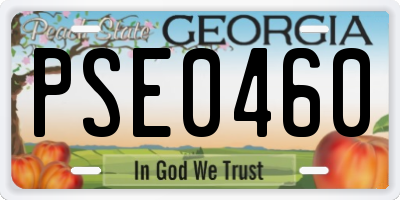 GA license plate PSE0460