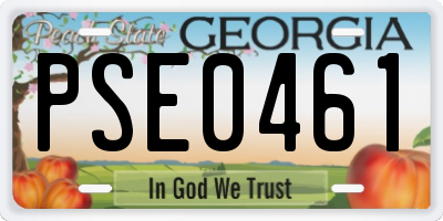GA license plate PSE0461