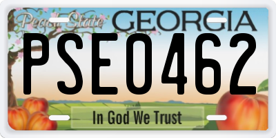 GA license plate PSE0462