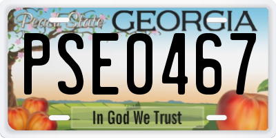 GA license plate PSE0467