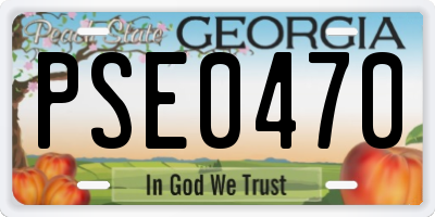 GA license plate PSE0470