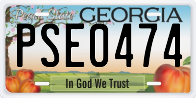 GA license plate PSE0474