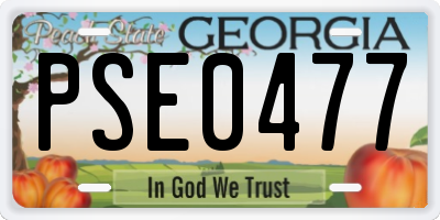 GA license plate PSE0477
