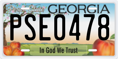 GA license plate PSE0478