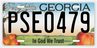 GA license plate PSE0479