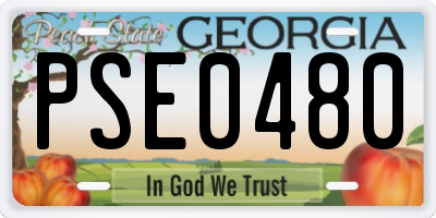 GA license plate PSE0480