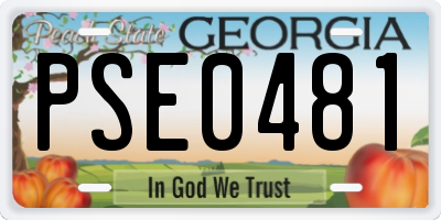 GA license plate PSE0481