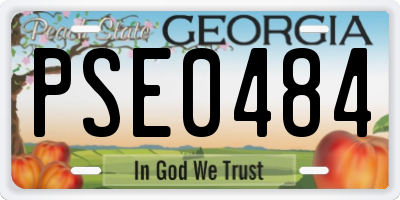 GA license plate PSE0484