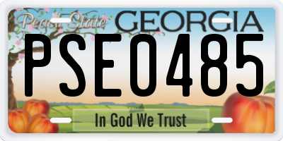 GA license plate PSE0485