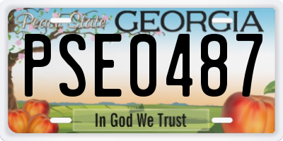 GA license plate PSE0487