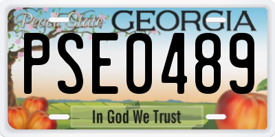 GA license plate PSE0489