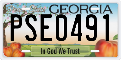 GA license plate PSE0491