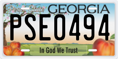 GA license plate PSE0494