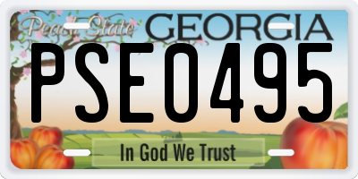 GA license plate PSE0495