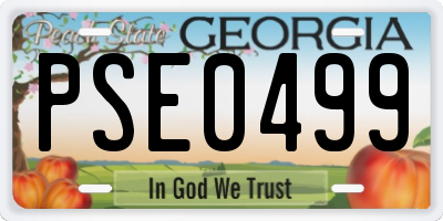 GA license plate PSE0499