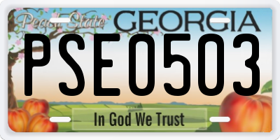 GA license plate PSE0503