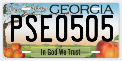 GA license plate PSE0505