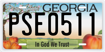 GA license plate PSE0511