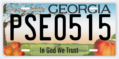 GA license plate PSE0515