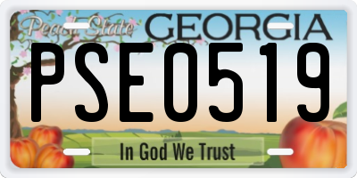GA license plate PSE0519