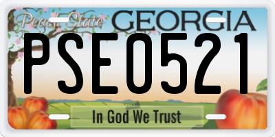 GA license plate PSE0521
