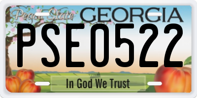 GA license plate PSE0522