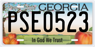 GA license plate PSE0523