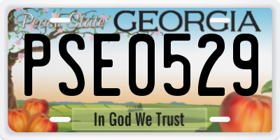 GA license plate PSE0529