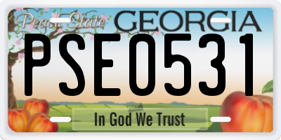 GA license plate PSE0531