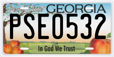 GA license plate PSE0532