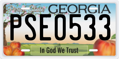GA license plate PSE0533