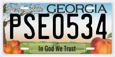 GA license plate PSE0534