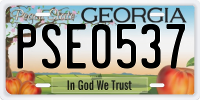 GA license plate PSE0537