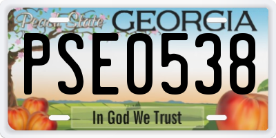 GA license plate PSE0538