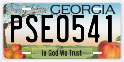 GA license plate PSE0541