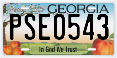 GA license plate PSE0543