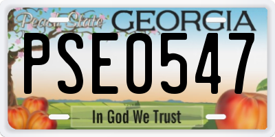 GA license plate PSE0547
