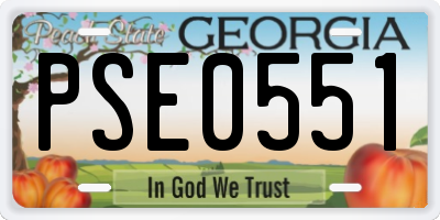 GA license plate PSE0551