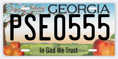 GA license plate PSE0555