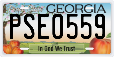 GA license plate PSE0559