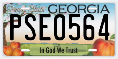 GA license plate PSE0564