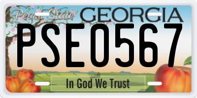 GA license plate PSE0567