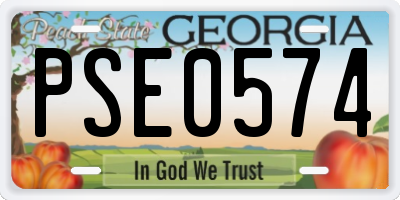 GA license plate PSE0574