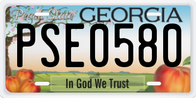 GA license plate PSE0580