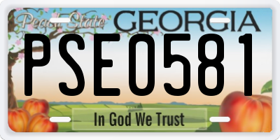 GA license plate PSE0581