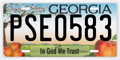 GA license plate PSE0583