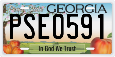 GA license plate PSE0591