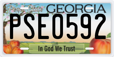 GA license plate PSE0592